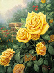 Yellow Roses in Garden